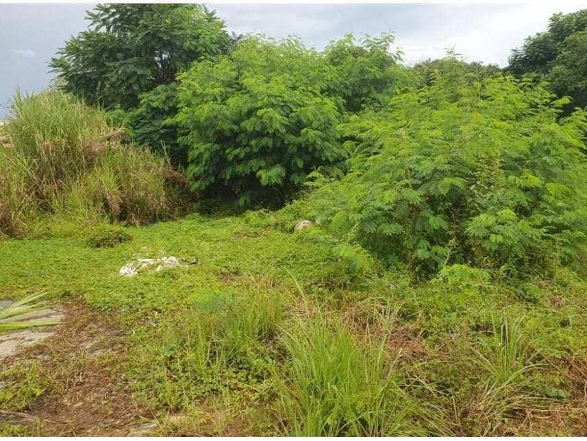 Foto 15 de 21: Area Rural em leilão em Sorocaba - SP — Área Rural à venda em leilão