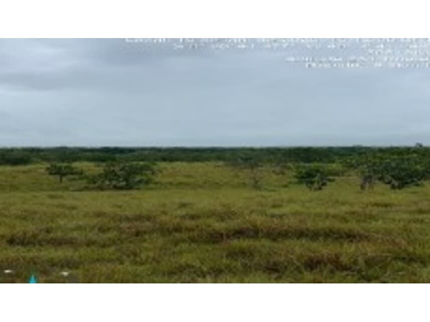 Foto 4 de 4: Area Rural em leilão em Dois Irmãos Do Tocantins - TO — Área Rural à venda em leilão
