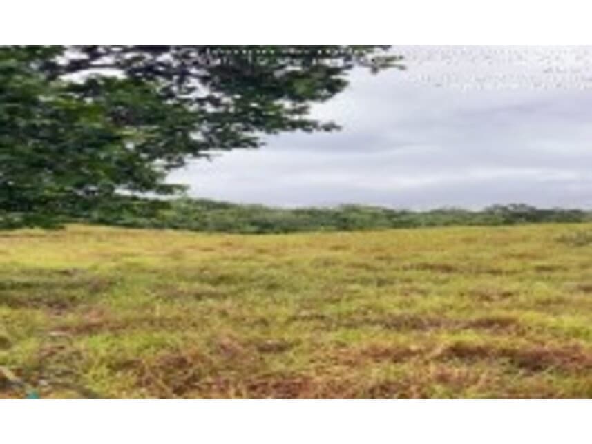 Foto 2 de 4: Area Rural em leilão em Dois Irmãos Do Tocantins - TO — Área Rural à venda em leilão