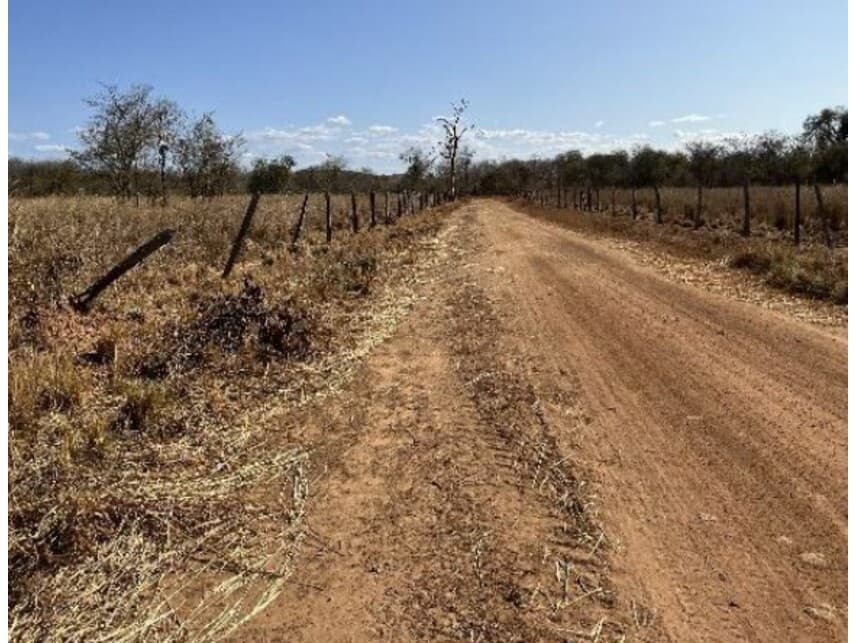 Foto 4 de 8: Area Rural em leilão em Riachão Das Neves - BA — Área Rural à venda em leilão