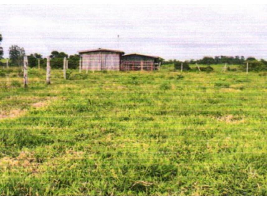 Foto 2 de 5: Area Rural em leilão em Colorado Do Oeste - RO — Área Rural à venda em leilão