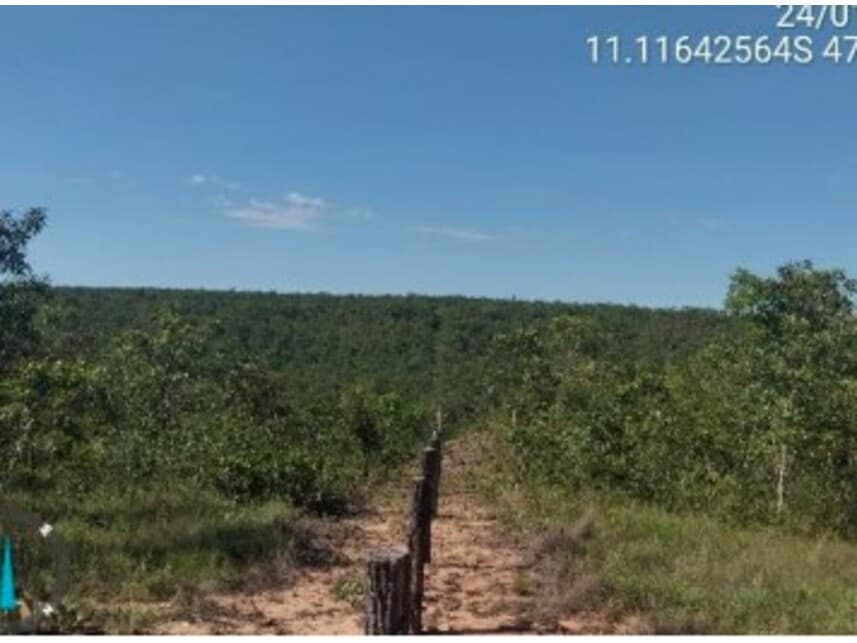 Area Rural em leilão em Almas - TO — Fazenda à venda em leilão