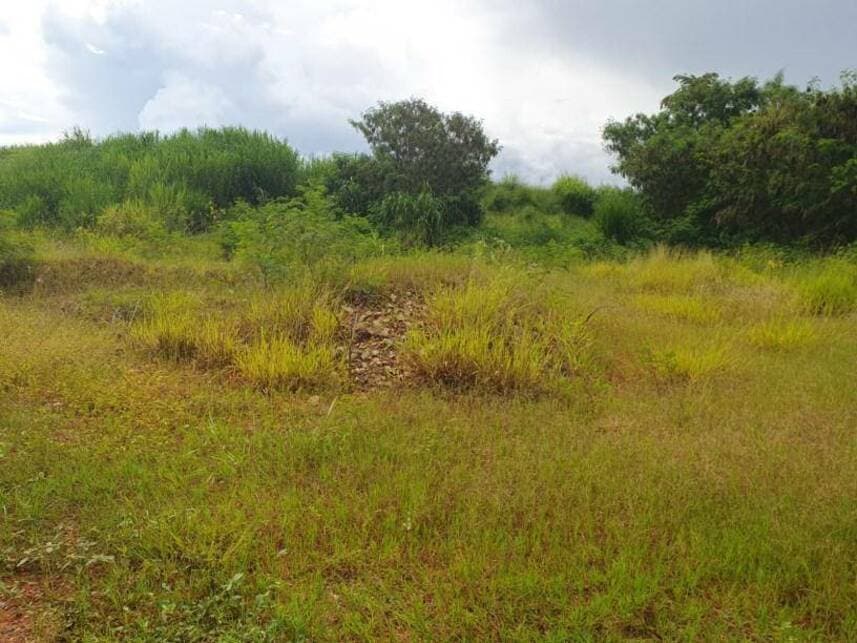 Foto 3 de 21: Area Rural em leilão em Sorocaba - SP — Área Rural à venda em leilão