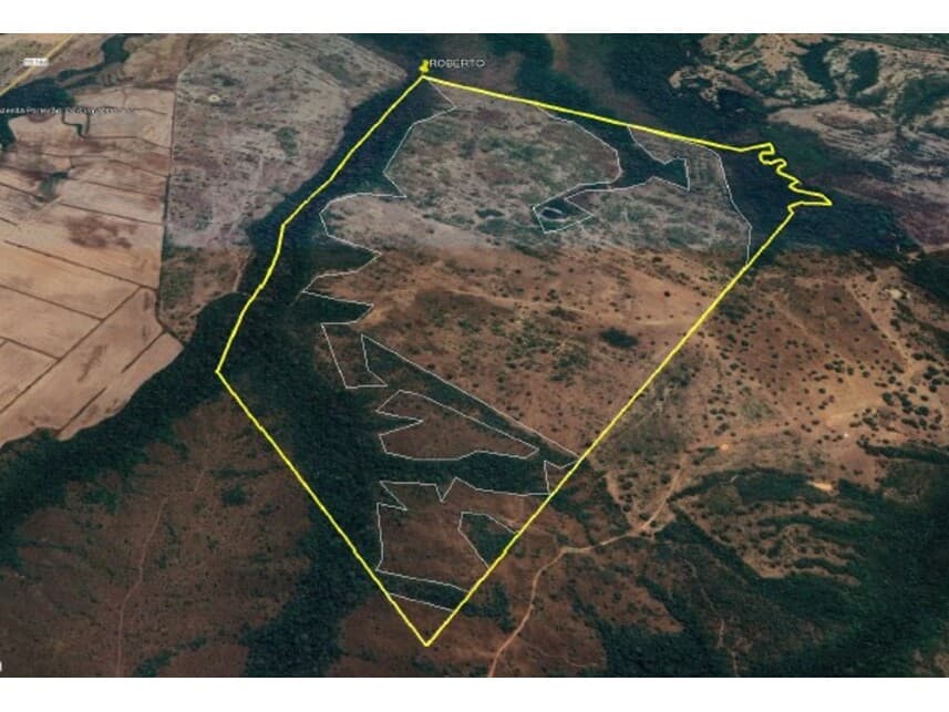 Foto 1 de 4: Area Rural em leilão em Dois Irmãos Do Tocantins - TO — Área Rural à venda em leilão