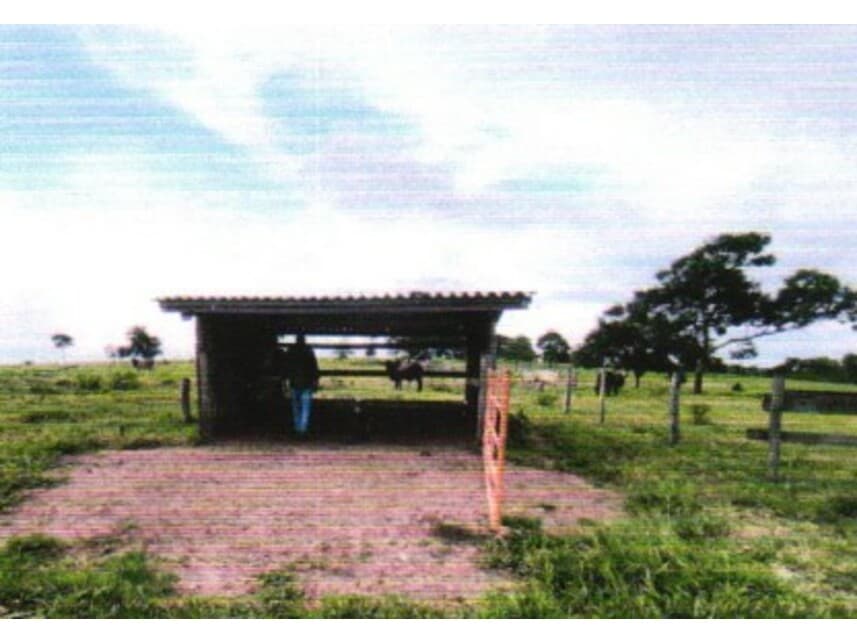 Foto 5 de 5: Area Rural em leilão em Colorado Do Oeste - RO — Área Rural à venda em leilão