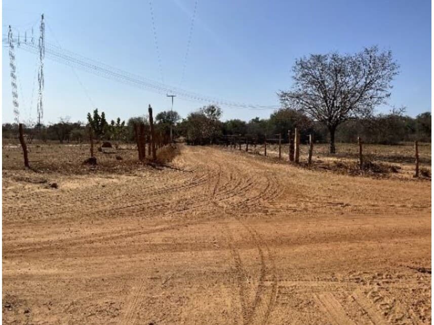 Foto 3 de 8: Area Rural em leilão em Riachão Das Neves - BA — Área Rural à venda em leilão