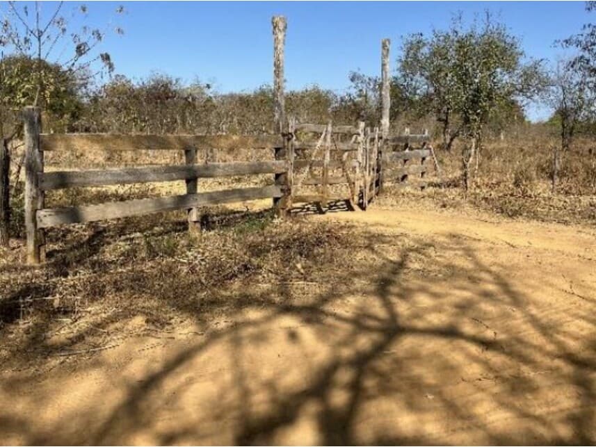Foto 6 de 8: Area Rural em leilão em Riachão Das Neves - BA — Área Rural à venda em leilão