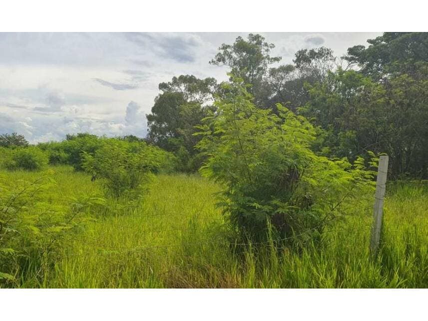 Foto 9 de 21: Area Rural em leilão em Sorocaba - SP — Área Rural à venda em leilão