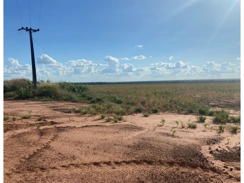Foto 6 de 12: Area Rural em leilão em Nova Ubiratã - MT — Área Rural à venda em leilão
