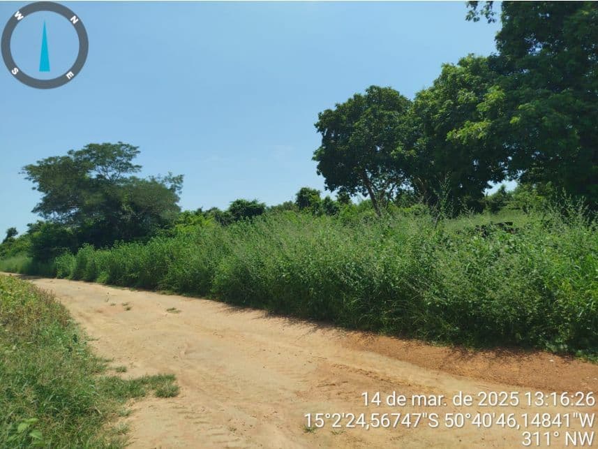 Foto 14 de 17: Area Rural em leilão em Araguapaz - GO — Área Rural à venda em leilão