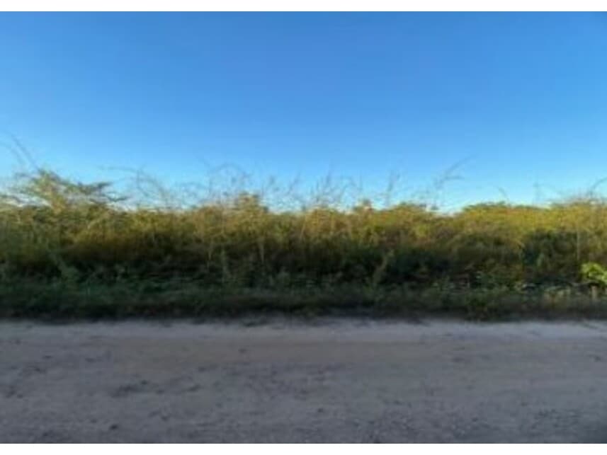 Foto 1 de 2: Terreno em leilão em Chapadinha - MA — Terreno à venda em leilão