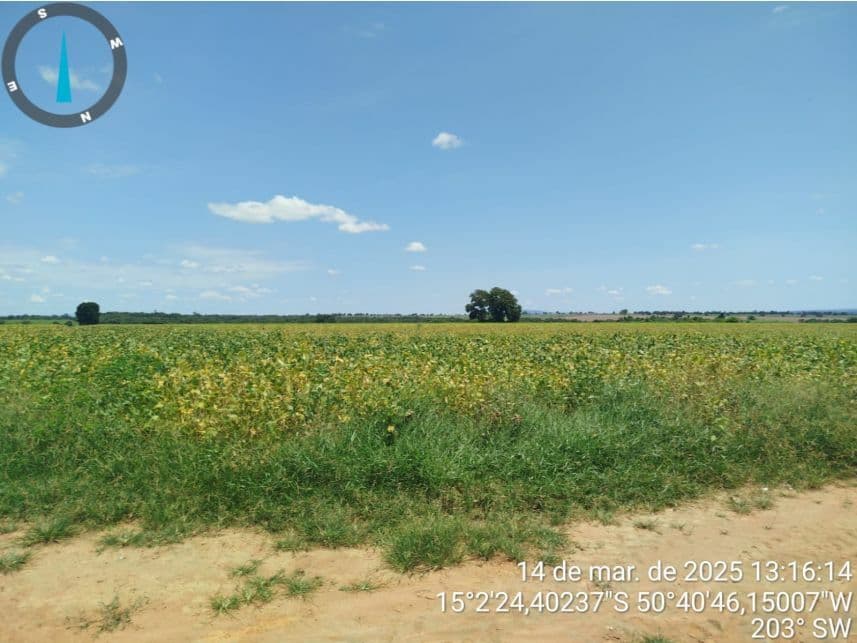 Foto 4 de 17: Area Rural em leilão em Araguapaz - GO — Área Rural à venda em leilão