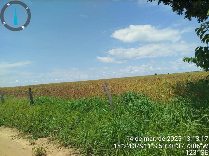 Foto 8 de 17: Area Rural em leilão em Araguapaz - GO — Área Rural à venda em leilão