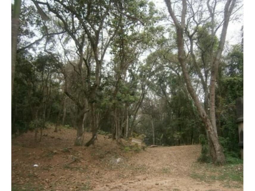 Foto 4 de 11: Terreno em leilão em Santana De Parnaíba - SP — Terreno à venda em leilão
