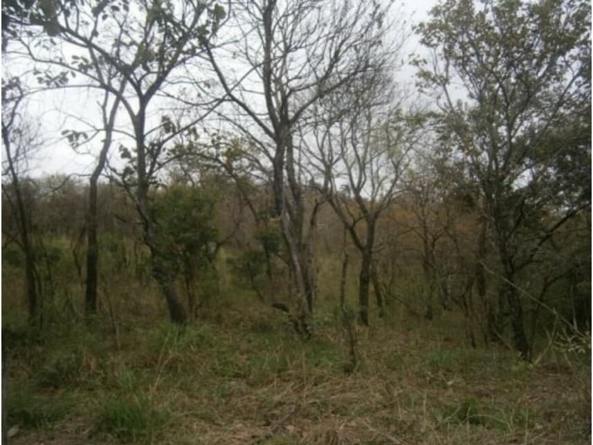 Foto 9 de 11: Terreno em leilão em Santana De Parnaíba - SP — Terreno à venda em leilão