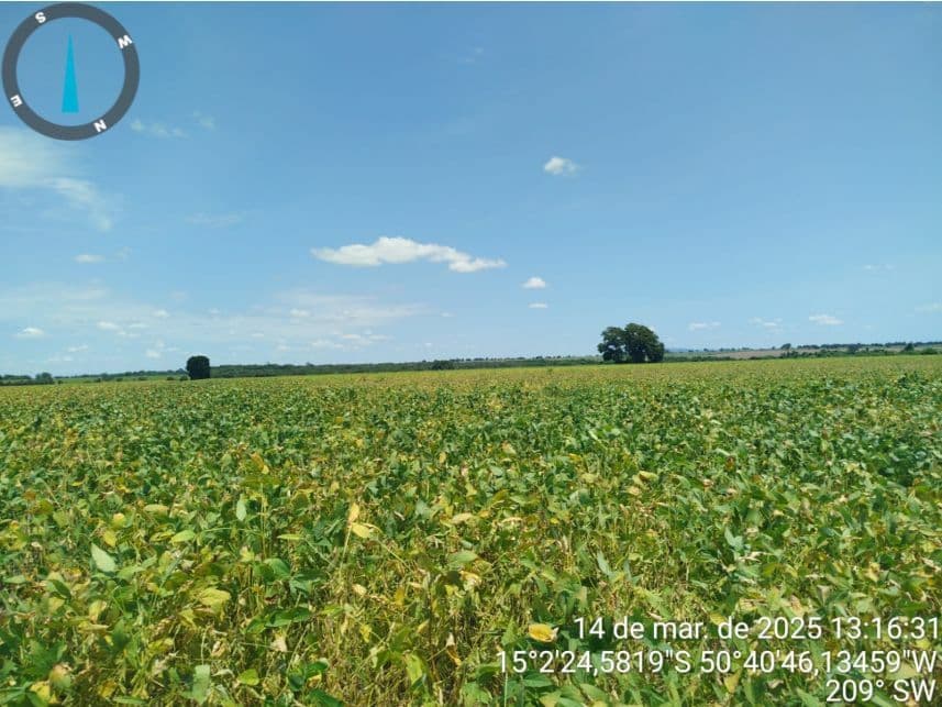 Foto 5 de 17: Area Rural em leilão em Araguapaz - GO — Área Rural à venda em leilão