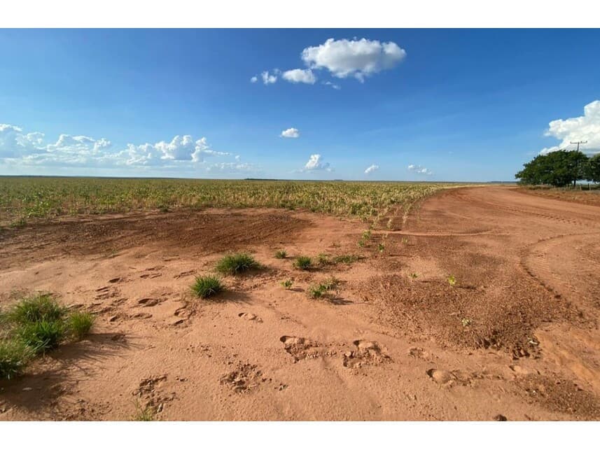Foto 3 de 12: Area Rural em leilão em Nova Ubiratã - MT — Área Rural à venda em leilão