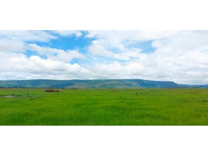 Foto 6 de 10: Area Rural em leilão em Vila Bela Da Santíssima Trindade - MT — Fazenda à venda em leilão