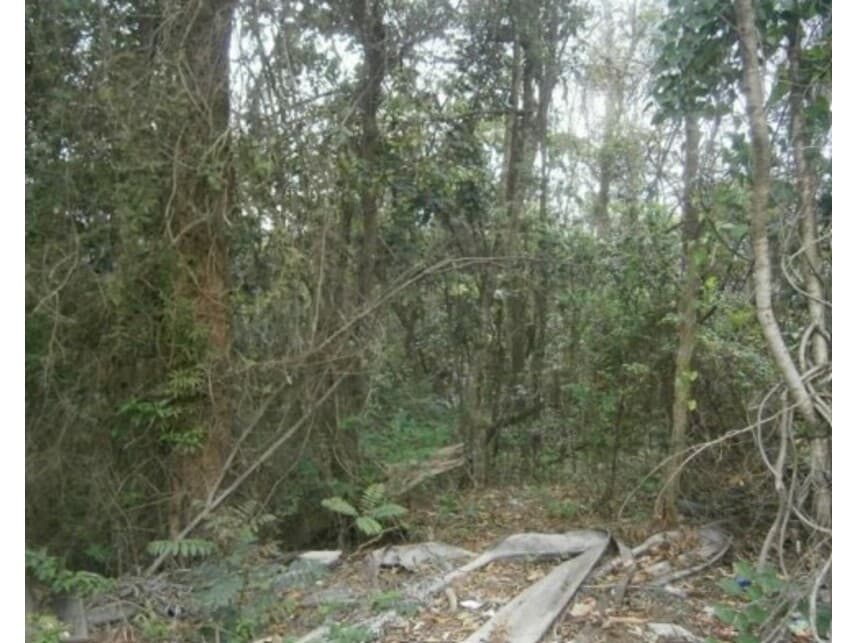 Foto 3 de 11: Terreno em leilão em Santana De Parnaíba - SP — Terreno à venda em leilão