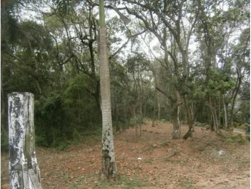 Foto 5 de 11: Terreno em leilão em Santana De Parnaíba - SP — Terreno à venda em leilão