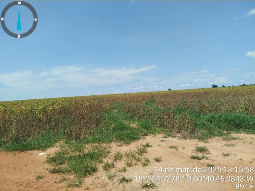 Foto 9 de 17: Area Rural em leilão em Araguapaz - GO — Área Rural à venda em leilão
