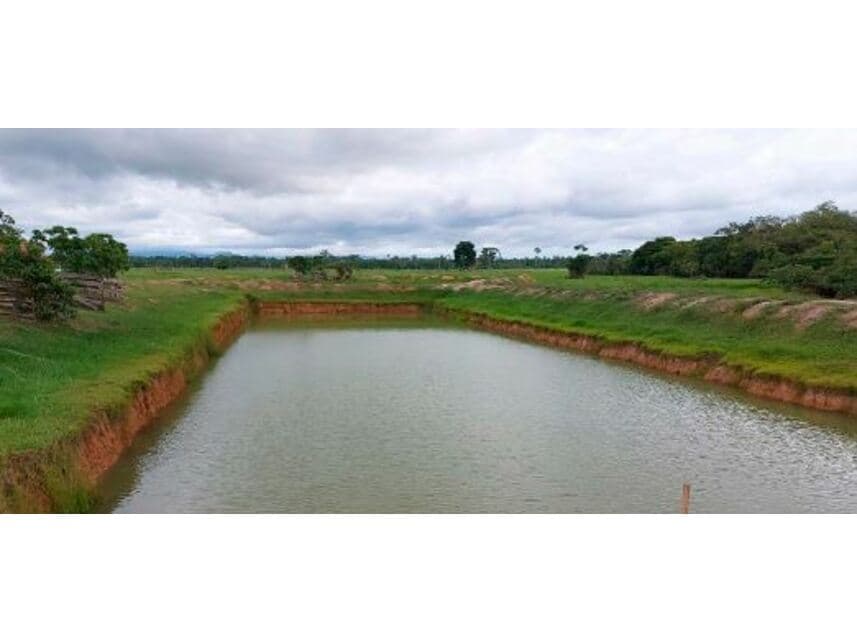 Foto 8 de 10: Area Rural em leilão em Vila Bela Da Santíssima Trindade - MT — Fazenda à venda em leilão