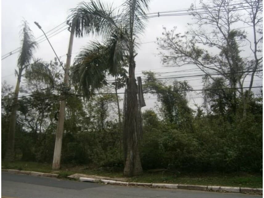 Foto 2 de 11: Terreno em leilão em Santana De Parnaíba - SP — Terreno à venda em leilão