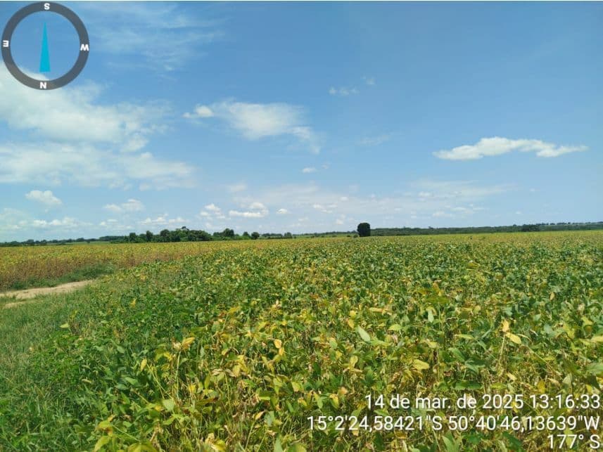 Foto 7 de 17: Area Rural em leilão em Araguapaz - GO — Área Rural à venda em leilão