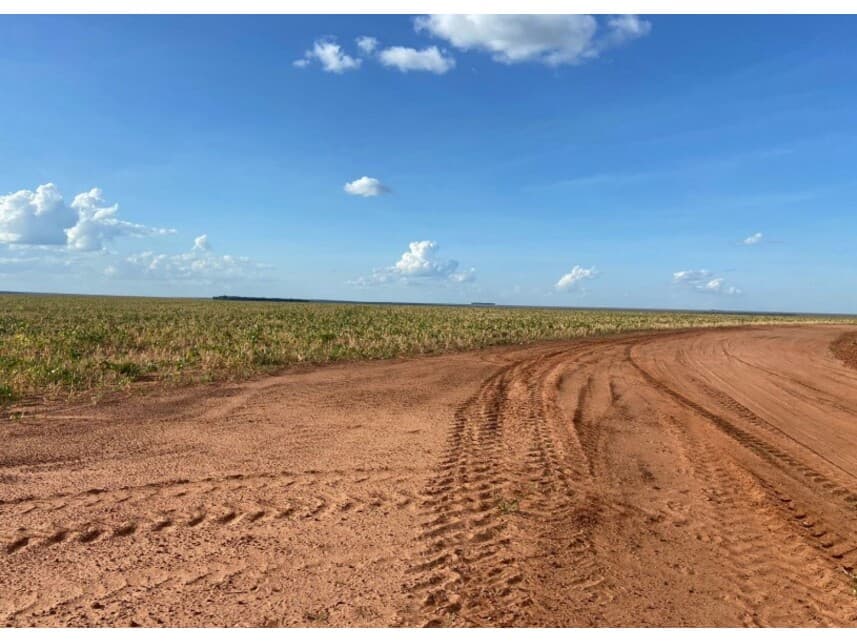 Foto 12 de 12: Area Rural em leilão em Nova Ubiratã - MT — Área Rural à venda em leilão