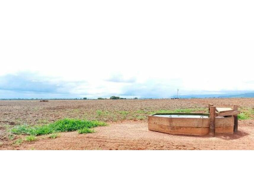 Foto 7 de 10: Area Rural em leilão em Vila Bela Da Santíssima Trindade - MT — Fazenda à venda em leilão
