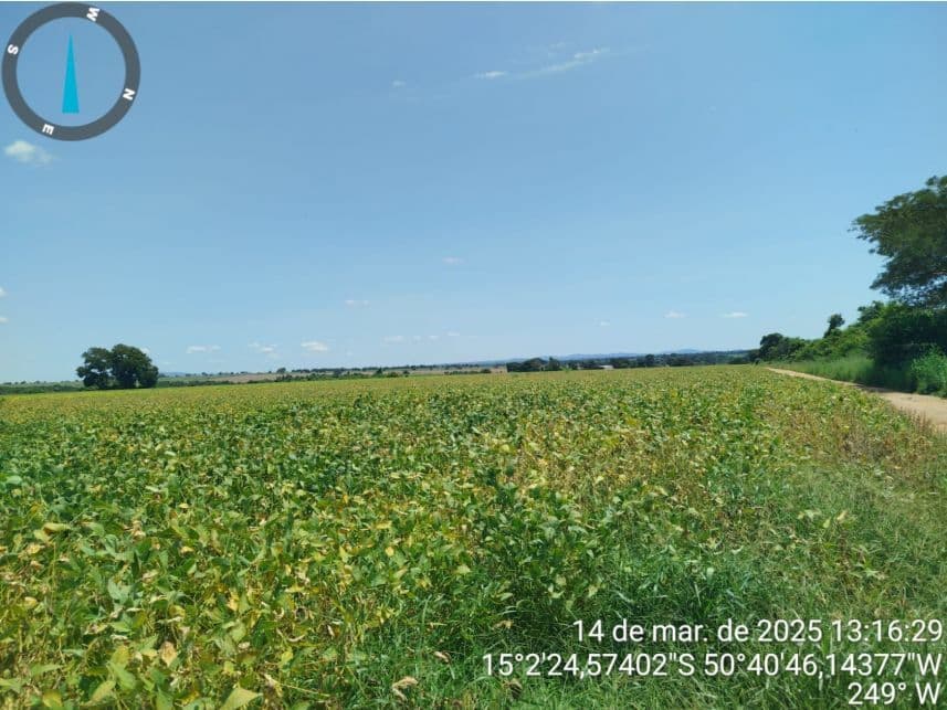 Foto 16 de 17: Area Rural em leilão em Araguapaz - GO — Área Rural à venda em leilão