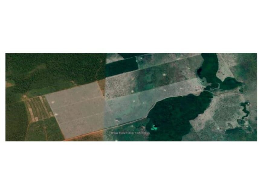 Foto 10 de 10: Area Rural em leilão em Vila Bela Da Santíssima Trindade - MT — Fazenda à venda em leilão