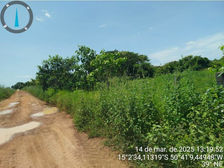 Foto 12 de 17: Area Rural em leilão em Araguapaz - GO — Área Rural à venda em leilão