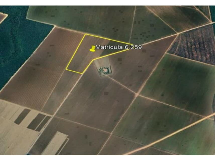 Foto 11 de 12: Area Rural em leilão em Nova Ubiratã - MT — Área Rural à venda em leilão