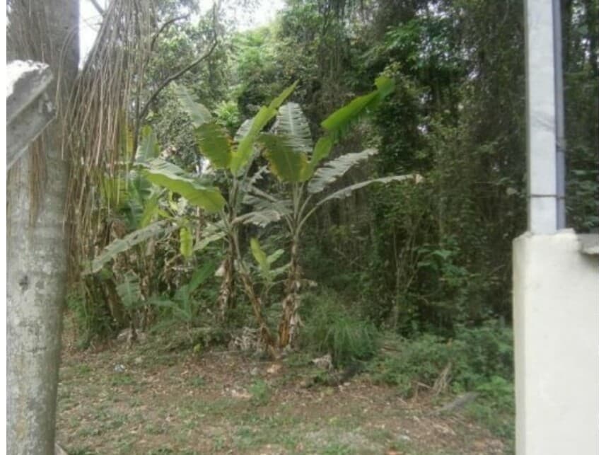 Foto 7 de 11: Terreno em leilão em Santana De Parnaíba - SP — Terreno à venda em leilão