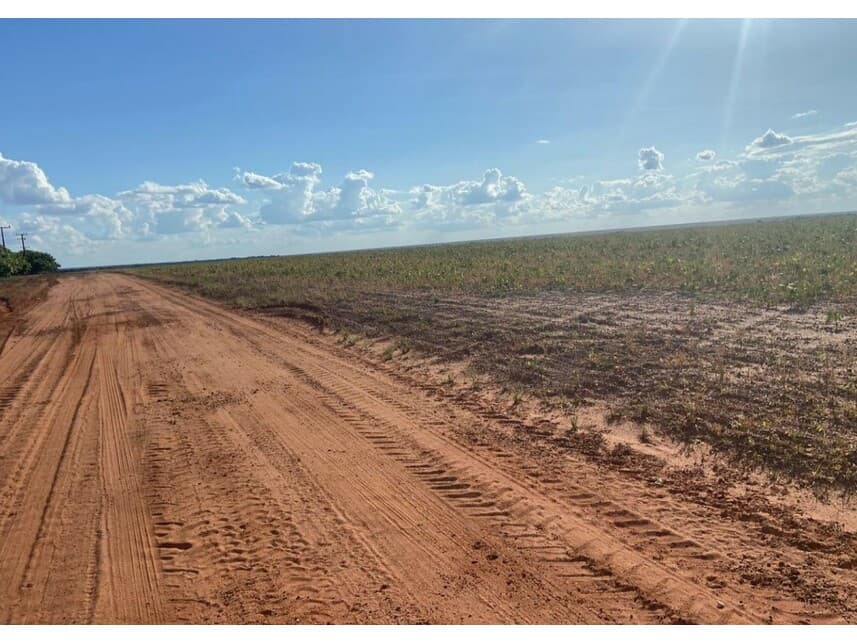 Foto 10 de 12: Area Rural em leilão em Nova Ubiratã - MT — Área Rural à venda em leilão