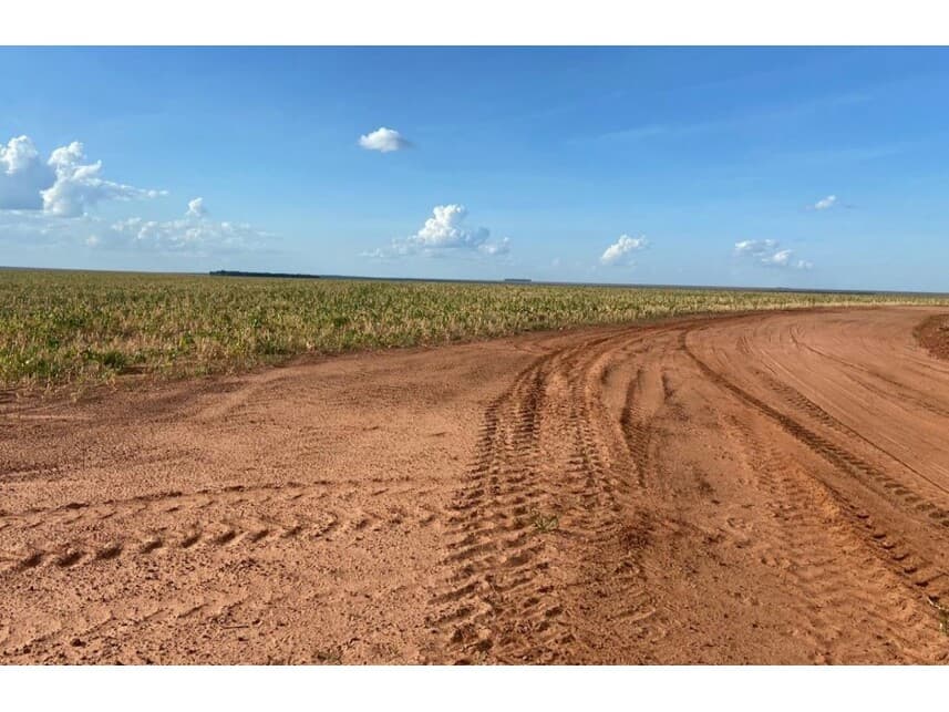 Foto 5 de 12: Area Rural em leilão em Nova Ubiratã - MT — Área Rural à venda em leilão