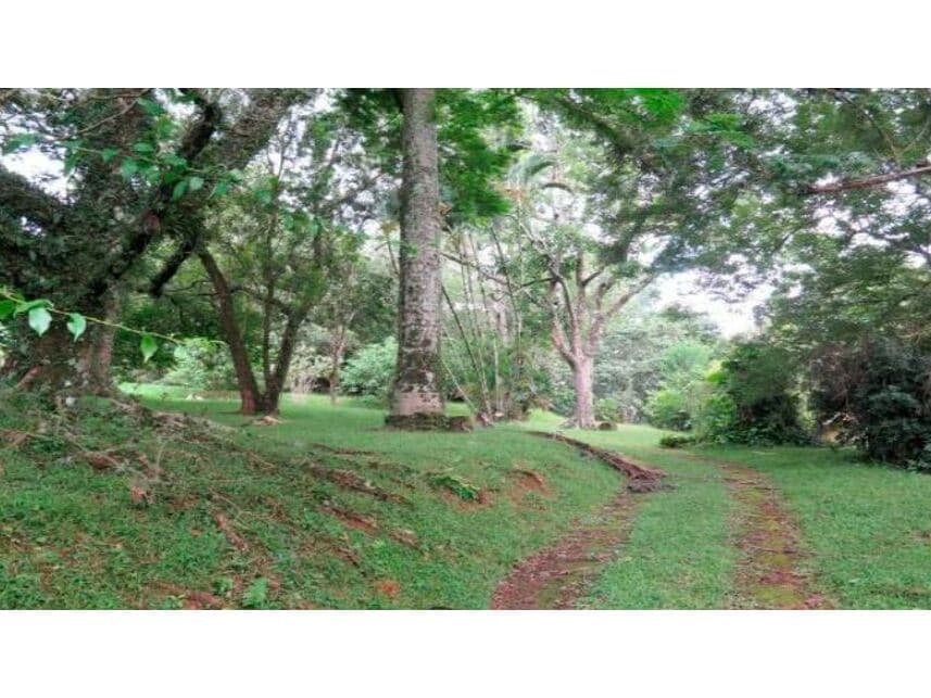 Foto 3 de 12: Terreno em leilão em Itatiba - SP — Terreno à venda em leilão