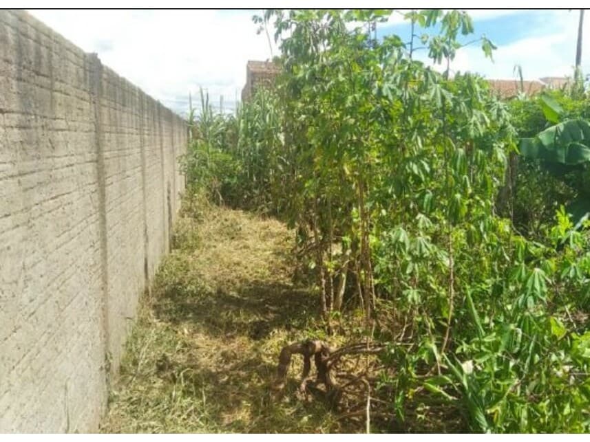 Foto 4 de 8: Terreno em leilão em Ouro Preto Do Oeste - RO — Terreno à venda em leilão