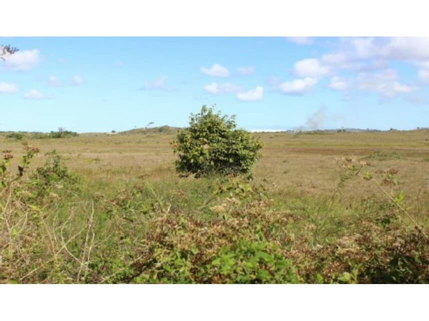 Foto 5 de 5: Area Rural em leilão em Camaçari - BA — Gleba de Terras à venda em leilão