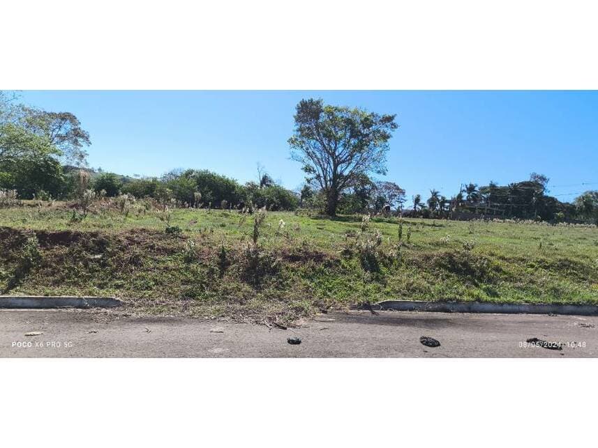 Foto 13 de 15: Terreno em leilão em Pérola - PR — Terreno à venda em leilão