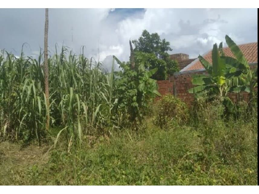 Foto 7 de 8: Terreno em leilão em Ouro Preto Do Oeste - RO — Terreno à venda em leilão