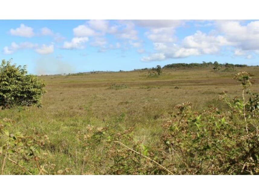 Foto 4 de 5: Area Rural em leilão em Camaçari - BA — Gleba de Terras à venda em leilão