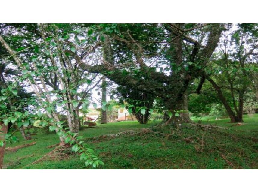 Foto 6 de 12: Terreno em leilão em Itatiba - SP — Terreno à venda em leilão