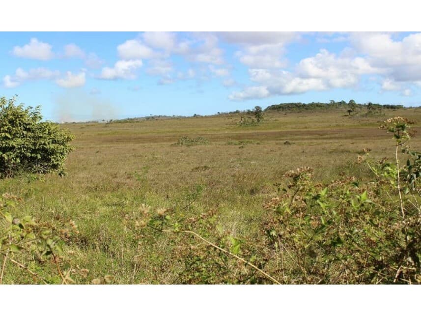 Foto 1 de 5: Area Rural em leilão em Camaçari - BA — Gleba de Terras à venda em leilão