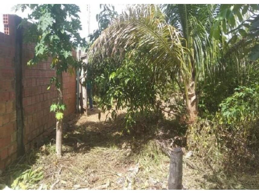 Foto 8 de 8: Terreno em leilão em Ouro Preto Do Oeste - RO — Terreno à venda em leilão