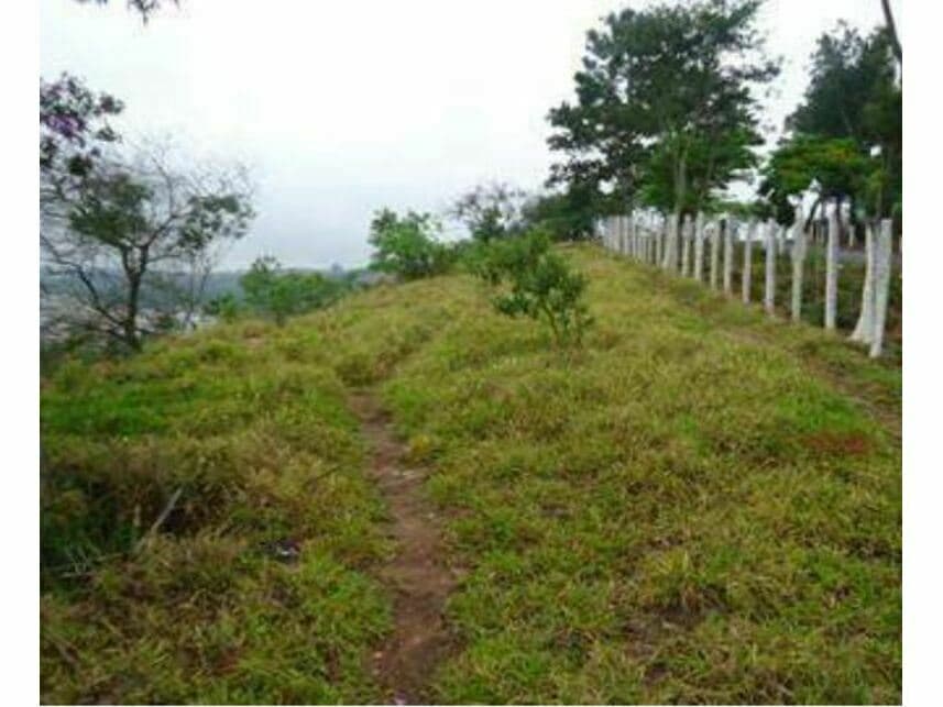 Foto 4 de 10: Terreno em leilão em Barbacena - MG — Terreno à venda