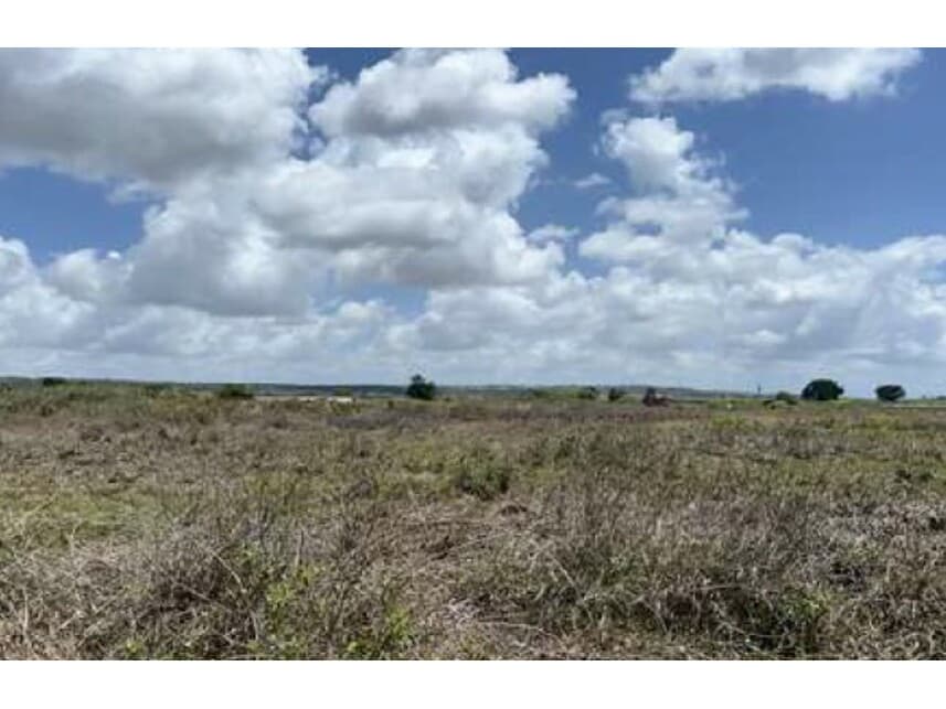 Foto 4 de 16: Terreno em leilão em Monte Alegre - RN — Terreno à venda em leilão