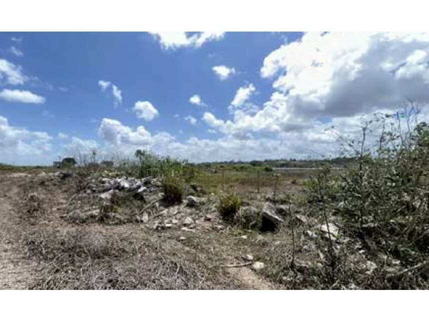 Foto 11 de 16: Terreno em leilão em Monte Alegre - RN — Terreno à venda em leilão
