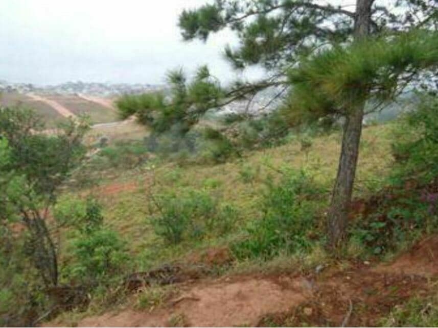 Foto 7 de 10: Terreno em leilão em Barbacena - MG — Terreno à venda